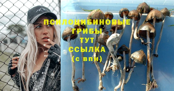 каннабис Верхний Тагил