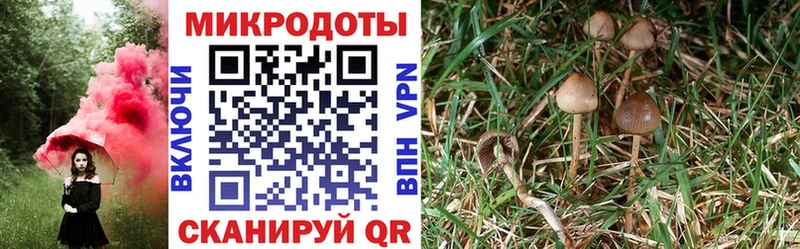 наркошоп  Вилючинск  Псилоцибиновые грибы прущие грибы 